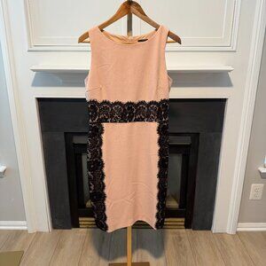 ✨ The Limited Blush Pink Sheath Dress with Black Lace ✨
